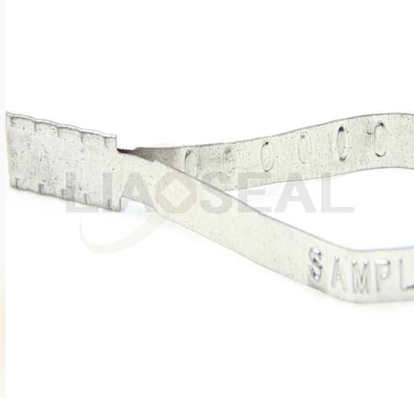 Metal Strap Seal